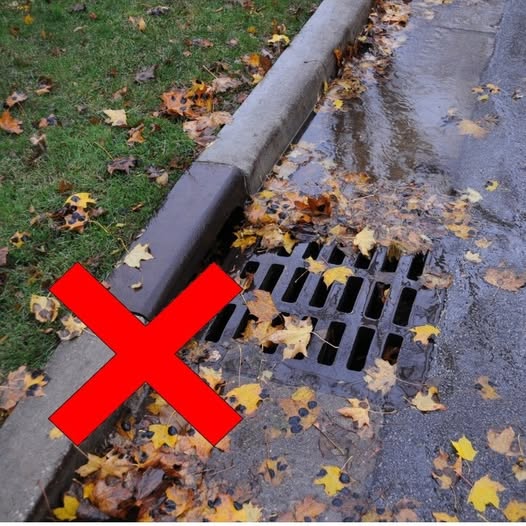 634893692_1413235494168669_5127109474771342846_n